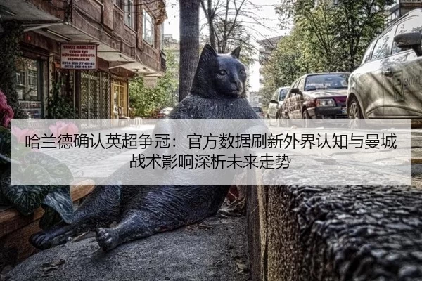 ha-lan-de-que-ren-ying-chao-zheng-guan-guan-fang-shu-ju-shua-xin-wai-jie-ren-zhi-yu-man-cheng-zhan-shu-ying-xiang-shen-2-290.jpg